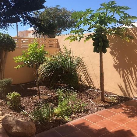 Independiente Estudio En Acogedora Casita De Mai Адехе Екстериор снимка